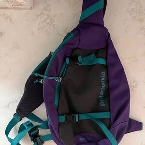 Patagonia Atom 8L Bag in Purple and Teal